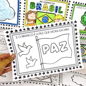 LIVRINHO "AS CORES DO BRASIL"