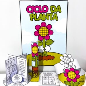 CICLO DA PLANTA